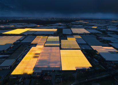 Greenhouses photography series by Tom Hegen