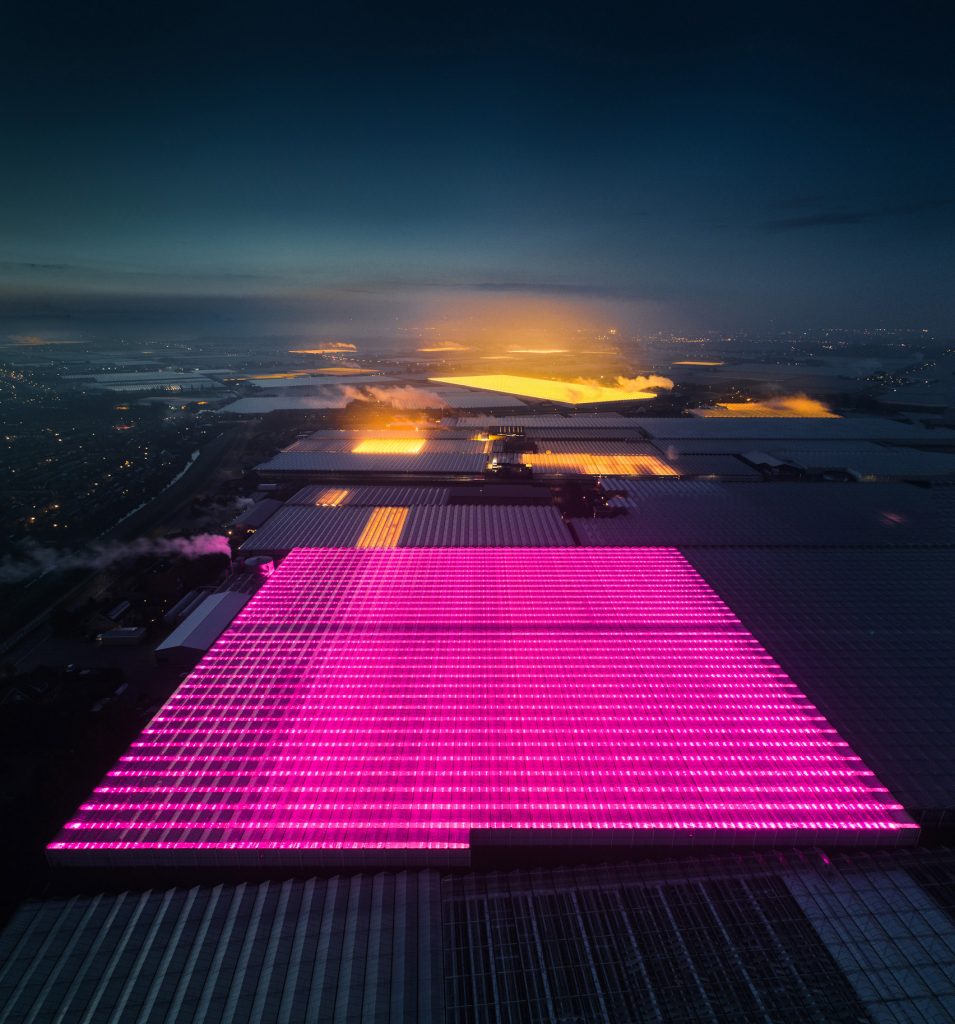 Greenhouses photography series by Tom Hegen