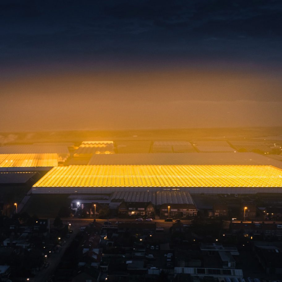 Greenhouses photography series by Tom Hegen