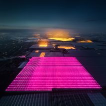Greenhouses photography series by Tom Hegen