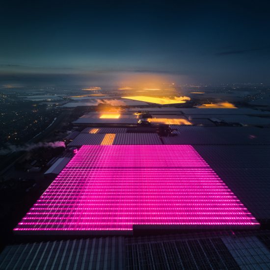 Greenhouses photography series by Tom Hegen