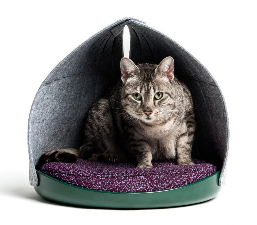 Layer and Cat Person design social media-friendly furniture for felines