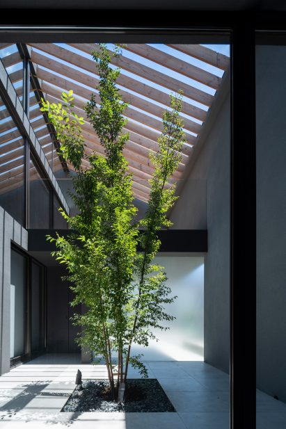 Leaf by Apollo Architects & Associates