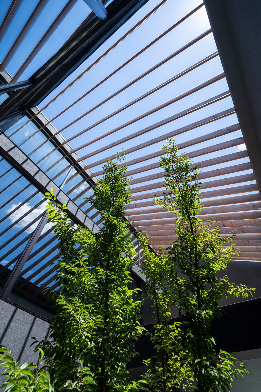 Leaf by Apollo Architects & Associates