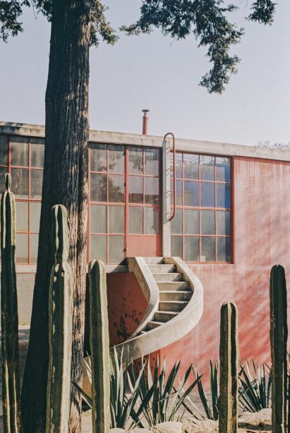 O Gorman Photography by Lorenzo Zandri