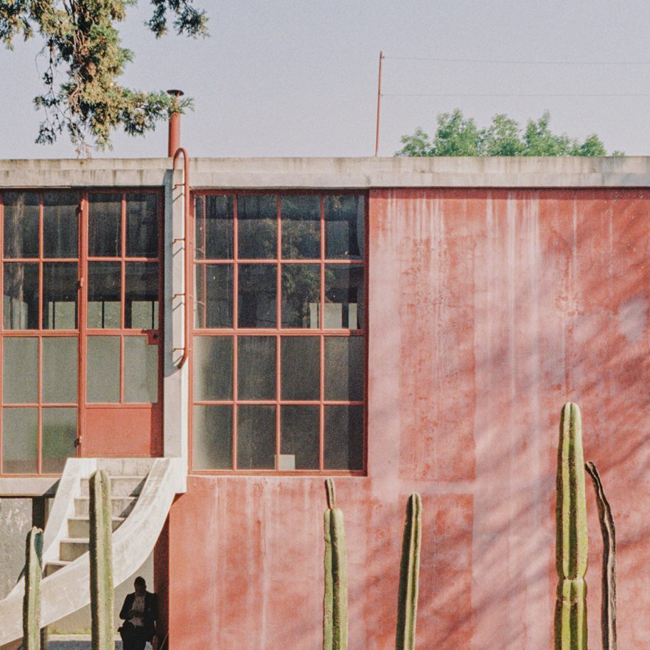 O Gorman Photography by Lorenzo Zandri