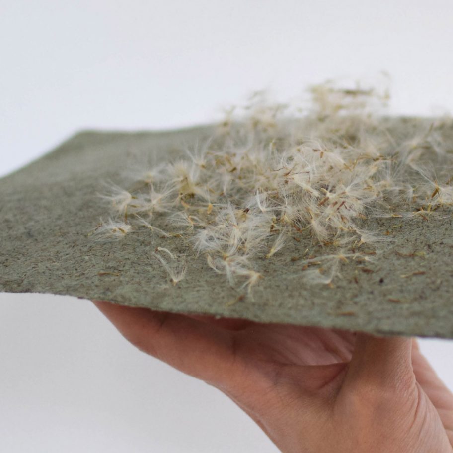 RCA students develop SaltyCo sustainable fabrics using freshwater-free plants