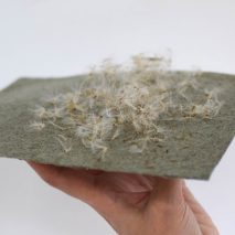 RCA students develop SaltyCo sustainable fabrics using freshwater-free plants