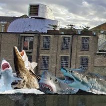 SHARKS! by Jaimie Shorten wins Antepavilion 2020 competition
