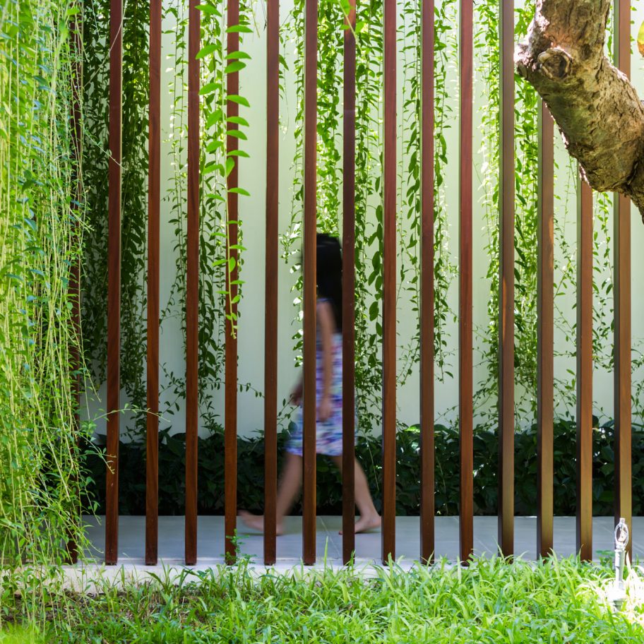 Green wall in The Drawers House in Vietnam