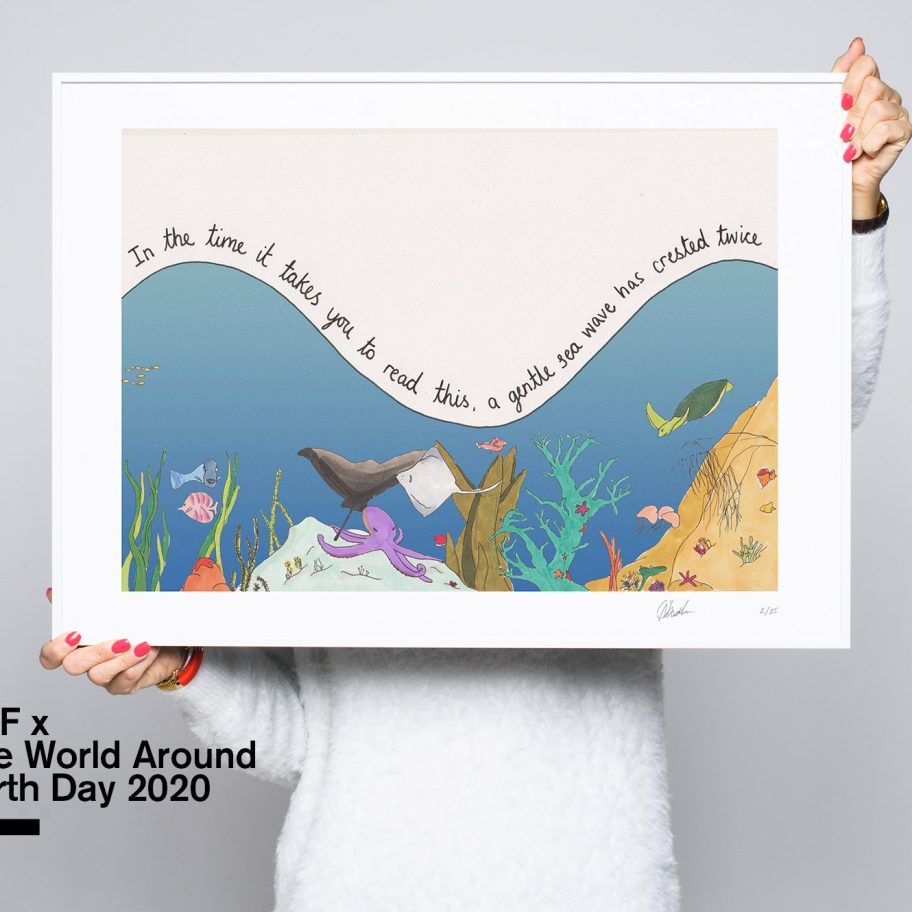 Mona Chalabi Earth Day illustration