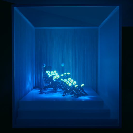 Synesthesia Lab for VDF x Ventura Projects
