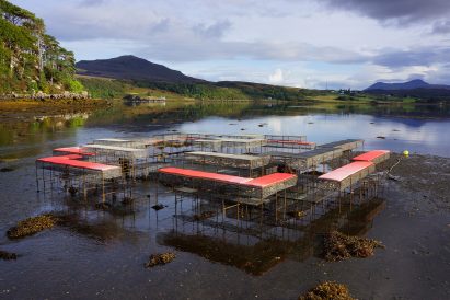 CLIMAVORE: On Tidal Zones by Cooking Sections