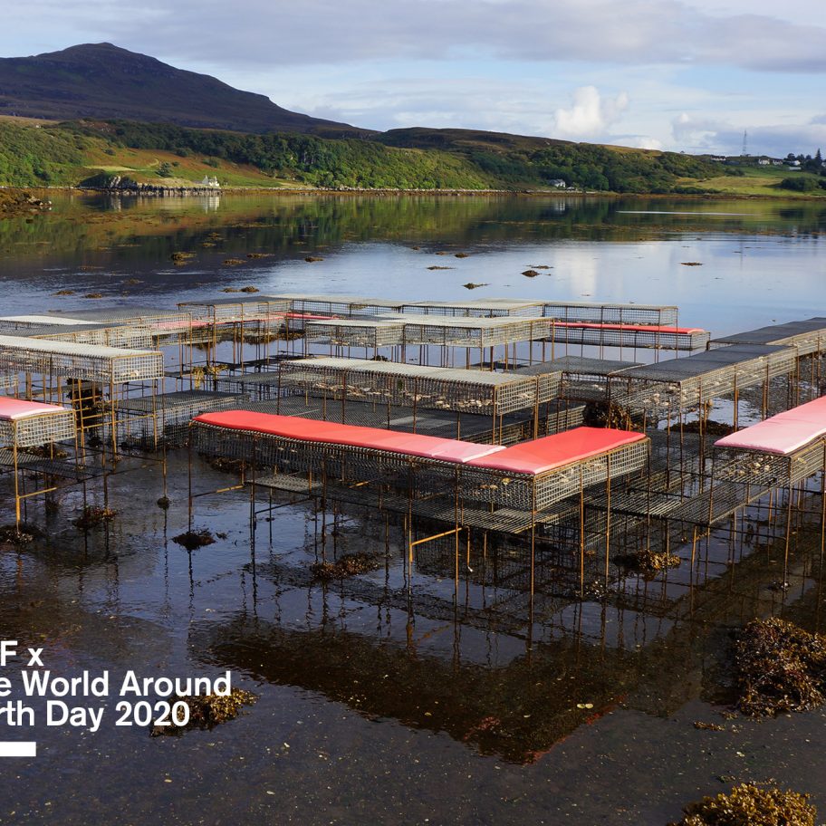 VDF collaborates with The World Around to host online design symposium for Earth Day