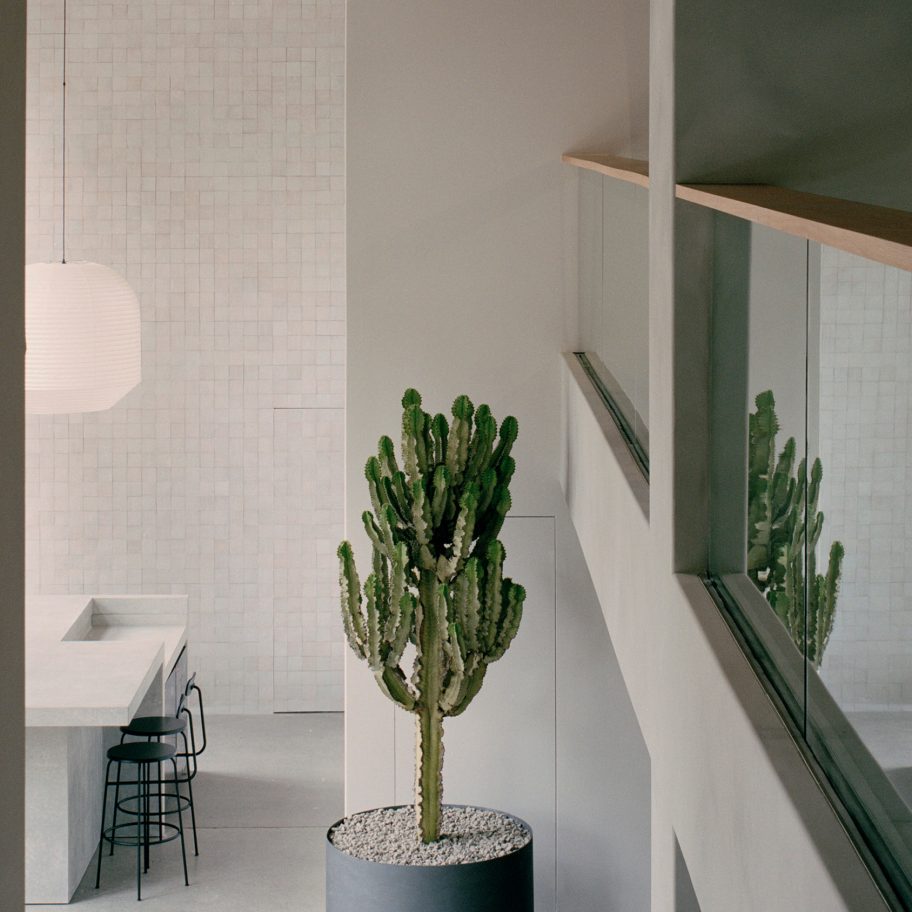 Studio Goss uses concrete and plaster for Armadillo & Co showroom in Sydney