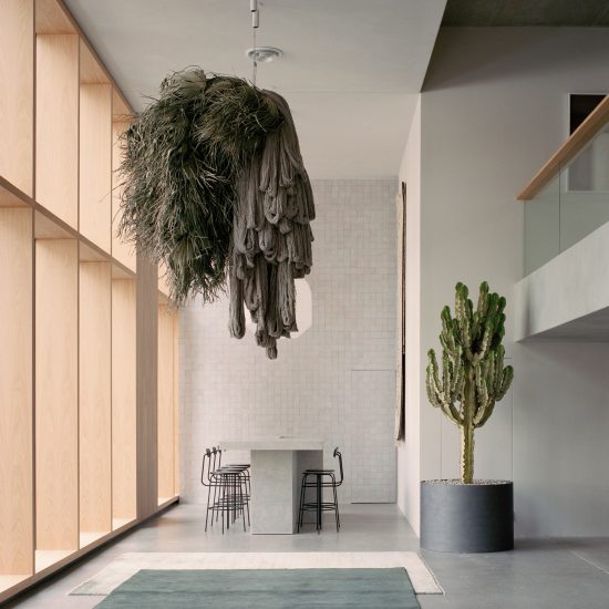 Studio Goss uses concrete and plaster for Armadillo & Co showroom in Sydney