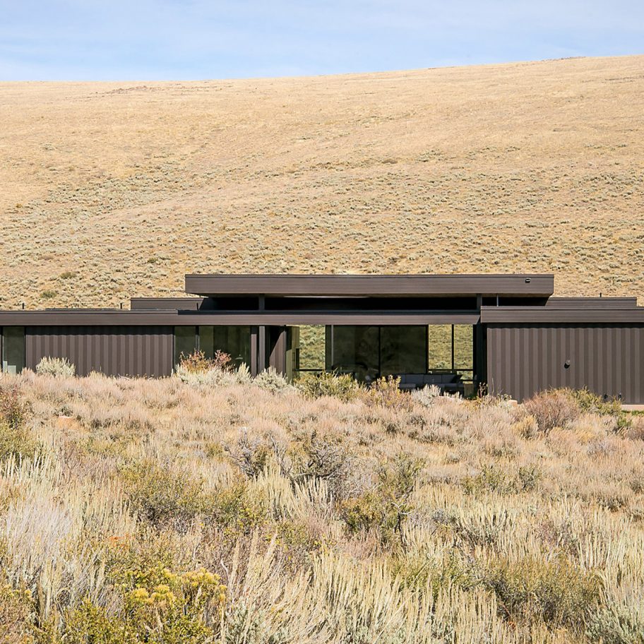 Boar Shoat by Imbue Design