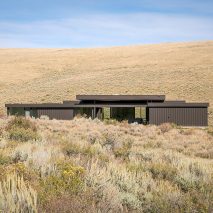 Boar Shoat by Imbue Design