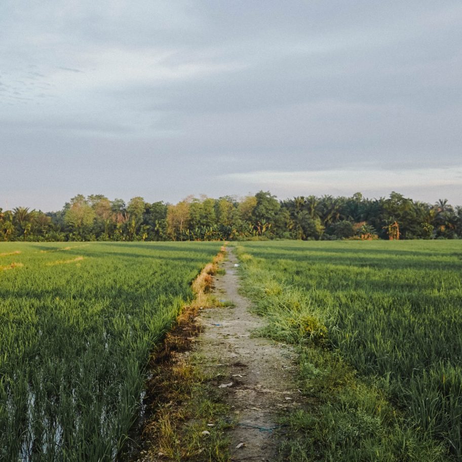 Countryside image