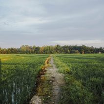 Countryside image