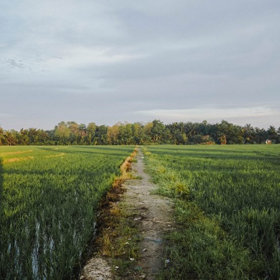 Countryside image