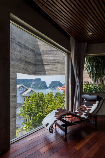 Window view