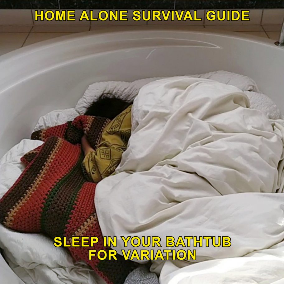 Home Alone - A Survival Guide, coronavirus lockdown challenges, by Max Siedentopf
