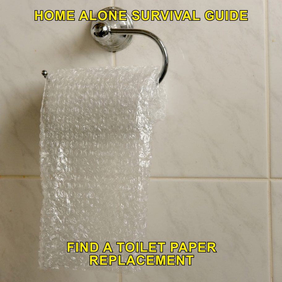 Home Alone - A Survival Guide, coronavirus lockdown challenges, by Max Siedentopf
