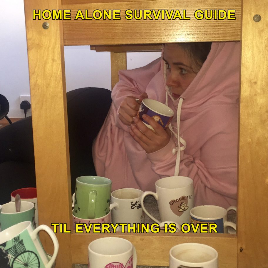 Home Alone - A Survival Guide, coronavirus lockdown challenges, by Max Siedentopf