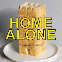 Home Alone - A Survival Guide, coronavirus lockdown challenges, by Max Siedentopf