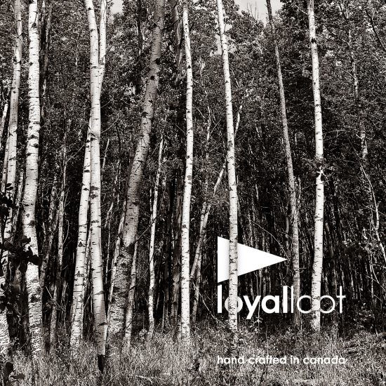 Design + Craft for Life by Loyal Loot for VDF x Ventura Projects
