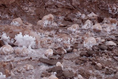 Mále Uribe Forés makes "living" wall tiles from Chilean desert salt