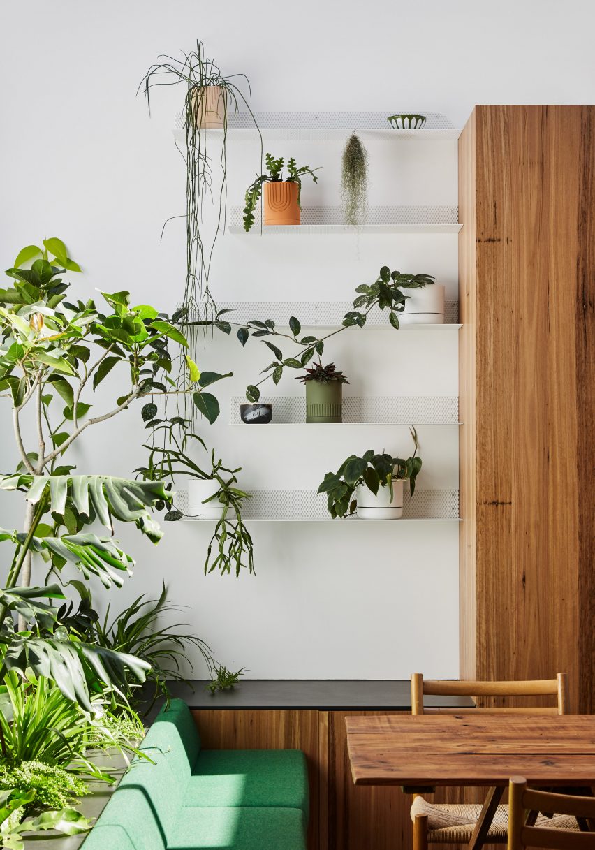 Plants in the dining space