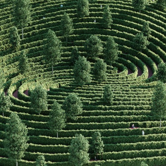 Parc de la Distance by Studio Precht designed to encourage social distancing during coronavirus 