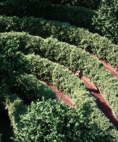 Parc de la Distance by Studio Precht designed to encourage social distancing during coronavirus