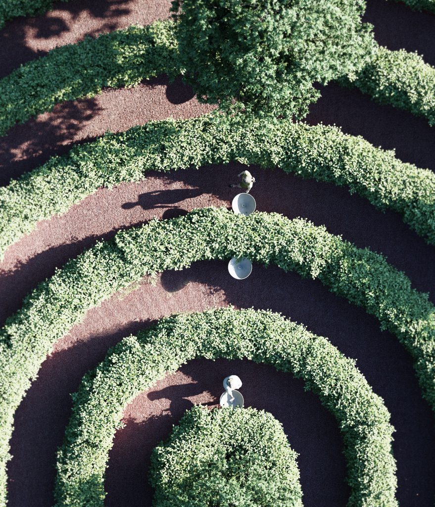 Parc de la Distance by Studio Precht designed to encourage social distancing during coronavirus 