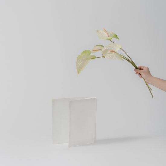 VDF x Ventura Projects: Peel Vase by Alyssa.Marcela
