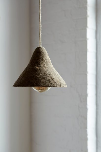 A mycelium pendant lamp