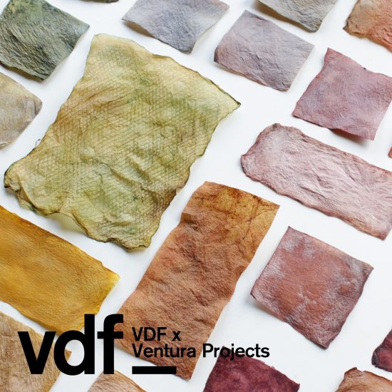Ventura Projects x VDF