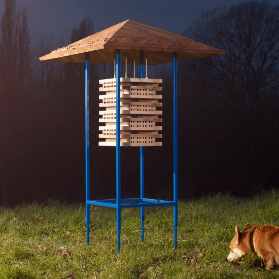 Seven urban refuges for bees living in cities