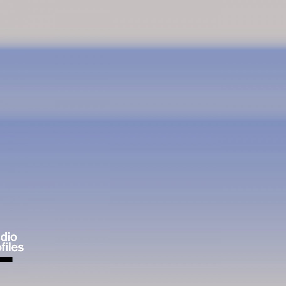 VDF studio profile