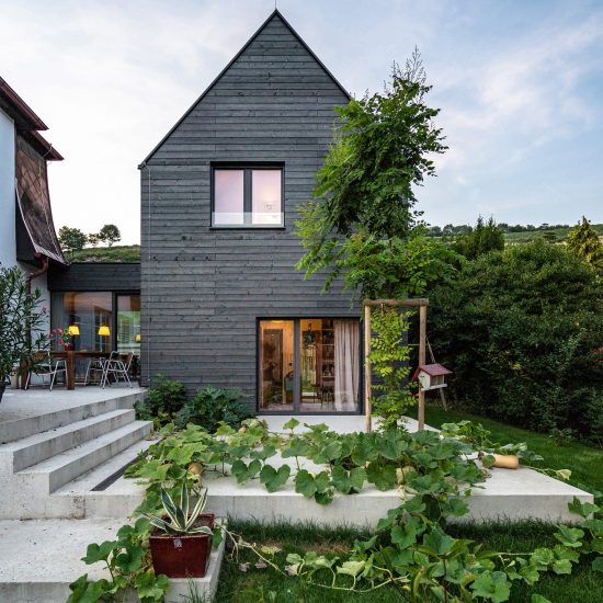 Smartvoll builds timber-clad extensions around old cottage in Klosterneuburg