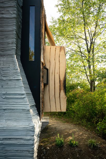 Ashen Cabin by Hannah