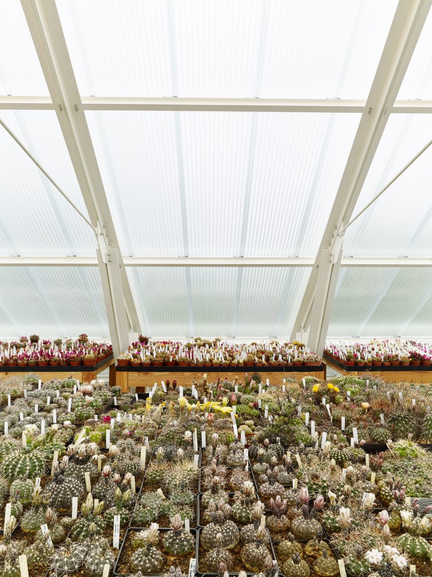 House with a greenhouse in Chlum, Czech Republic, by RicharDavidArchitekti