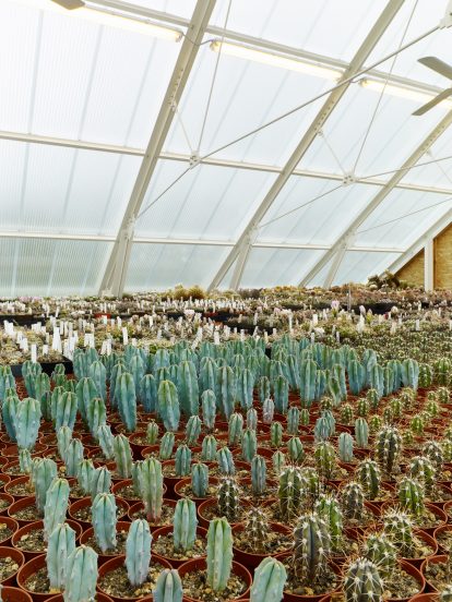 House with a greenhouse in Chlum, Czech Republic, by RicharDavidArchitekti