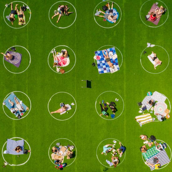 Domino Park Circles