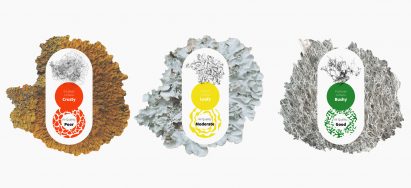 Lichen Air Sensors by Aditya Joshi