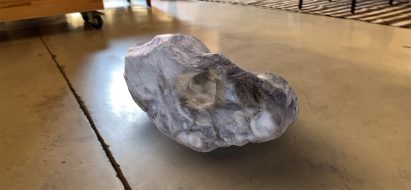 Olafur Eliasson transforms elements from nature into augmented reality artworks for Wunderkammer series