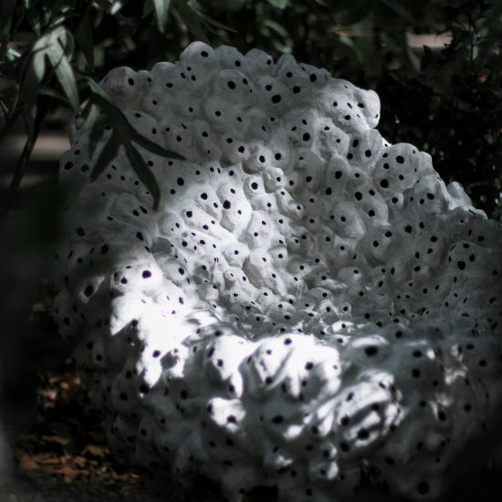Seven urban refuges for bees living in cities