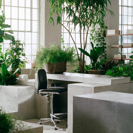 PSLab London headquarters designed by JamesPlumb